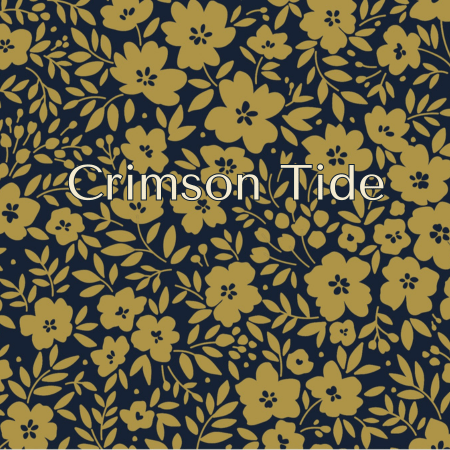 University of Alabama