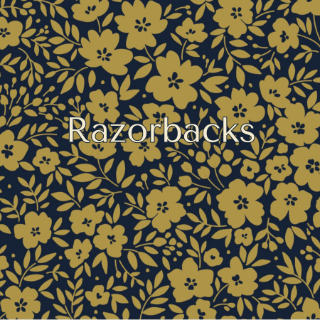 University of Arkansas