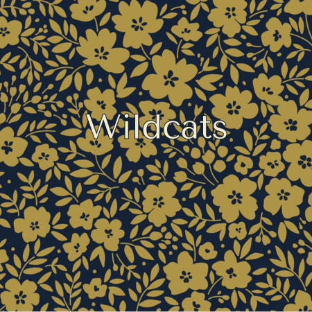 University of Kentucky