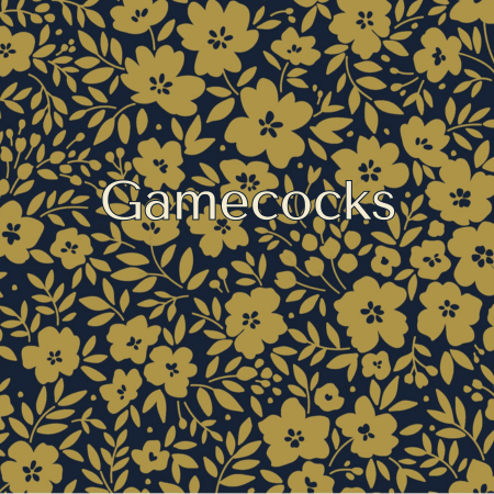 University of South Carolina