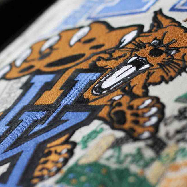 Kentucky, University of Collegiate Embroidered Pillow by CatStudio