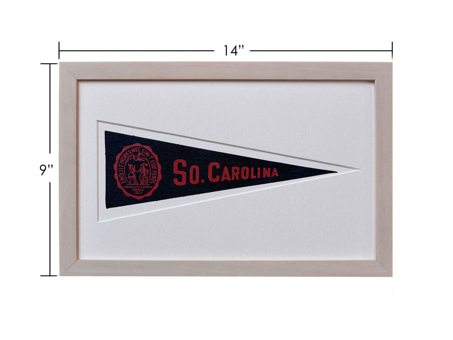 Vintage University of South Carolina Hormel Pennant